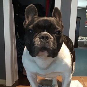 Meet your Posher, Jeannette